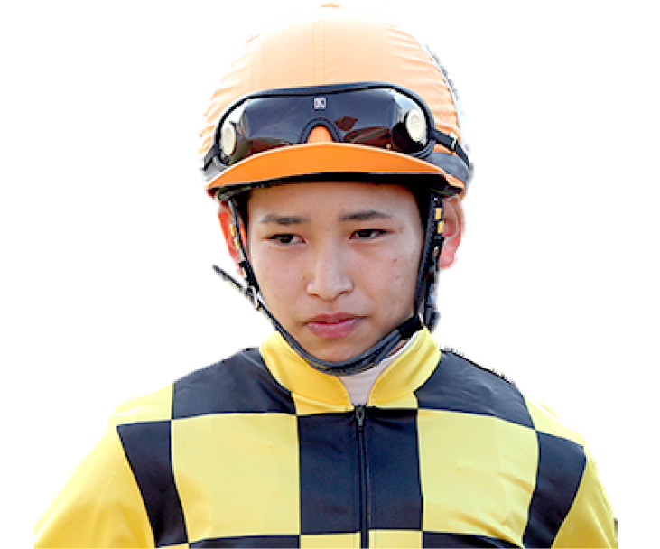 騎手のイメージ画像