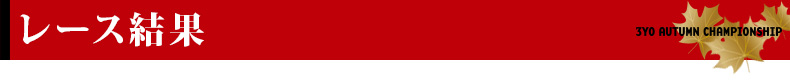 レース結果