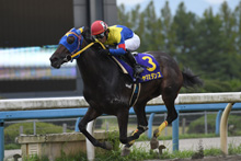 昨年優勝馬：ヤマミダンス