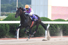 昨年優勝馬：スーパーマックス