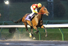 昨年優勝馬：キングジャガー