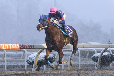 昨年優勝馬：スーパーステション