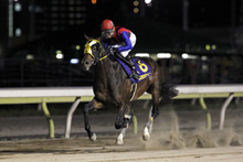 昨年優勝馬：バルダッサーレ