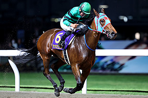 過去5年の競走成績 2024