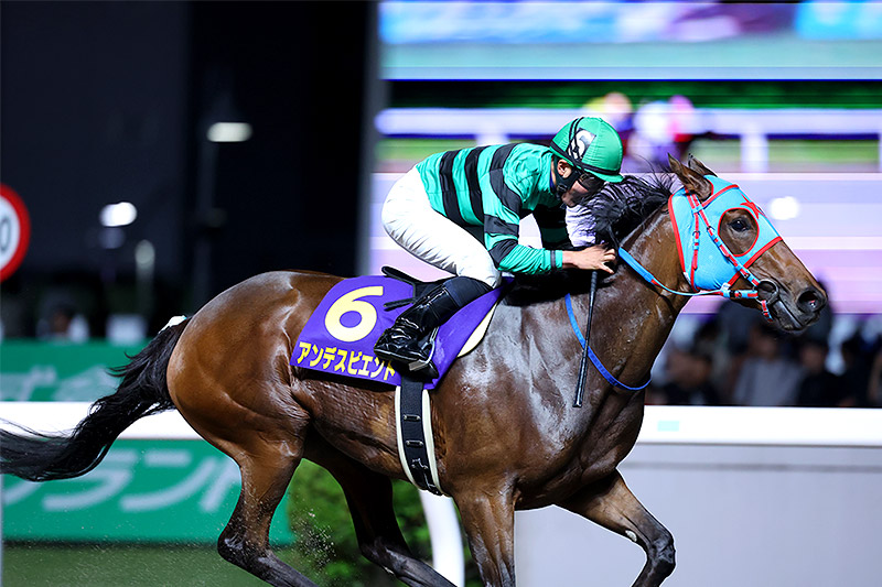 2024年 アンデスビエント　地方ゆかりの人馬が重賞初制覇