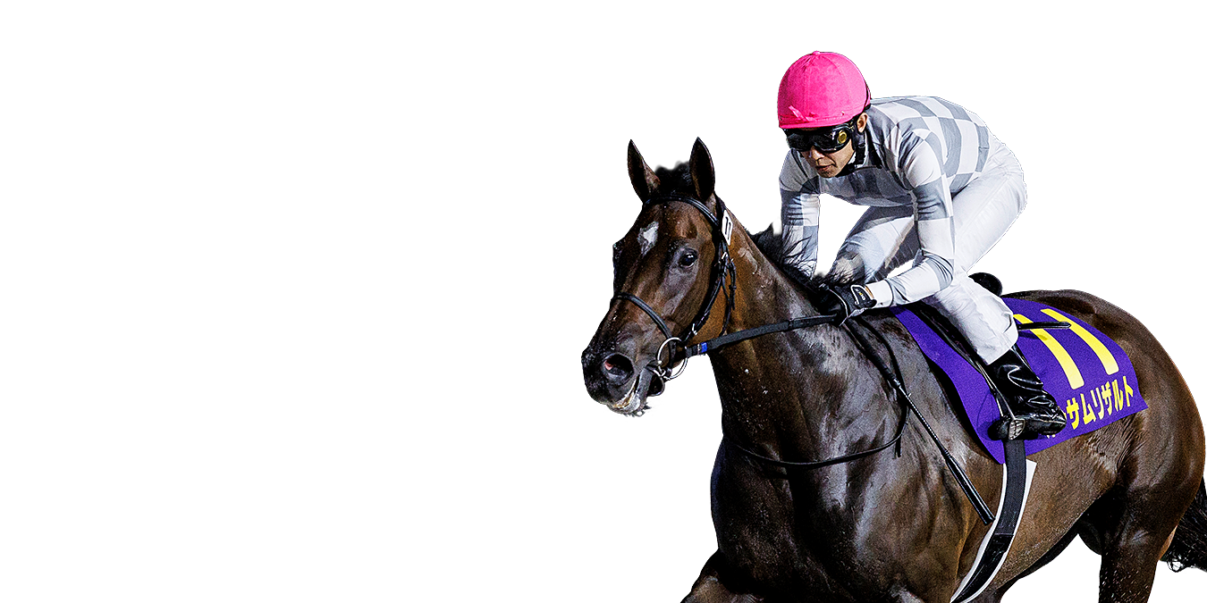 ブリーダーズゴールドカップ ゴール前