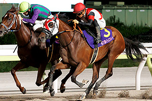 過去5年の競走成績 2024