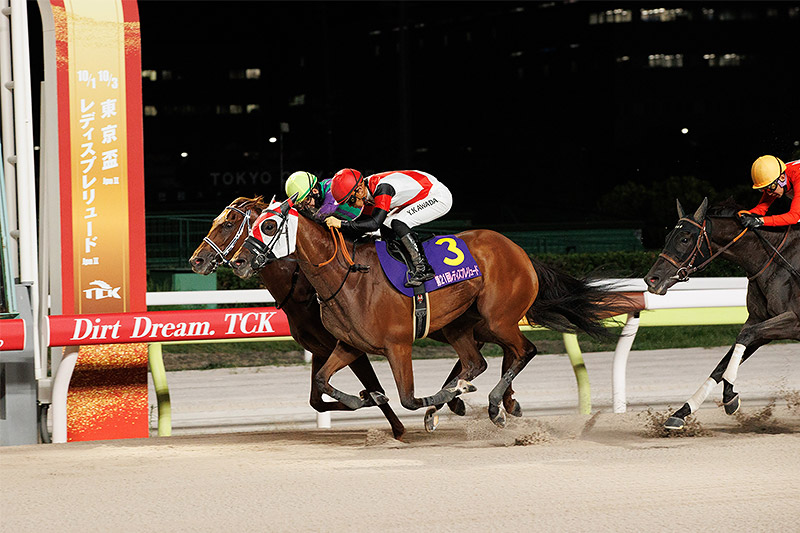 2024年 グランブリッジ　直線追い比べを制し人気に応える