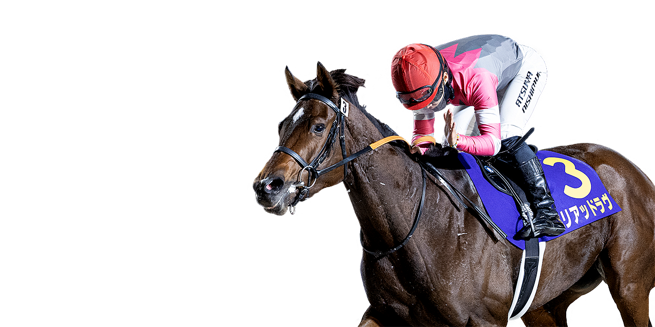 エーデルワイス賞 ゴール前