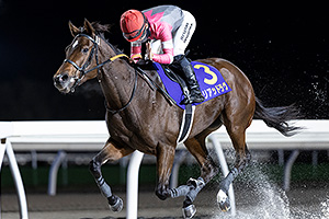 過去5年の競走成績 2024