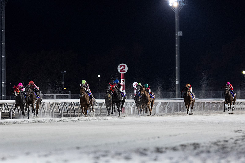 2024年 ミリアッドラヴ　自信満々で直線抜け出す