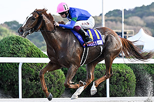 過去5年の競走成績 2024