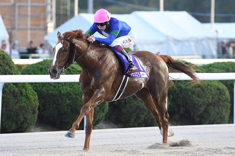 2024年 アンモシエラ　歴戦の古馬を一蹴しJpnI初制覇