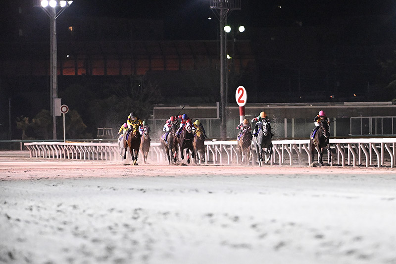 2025年 メルキオル　盤石の競馬で、ダートは無敗の3勝目