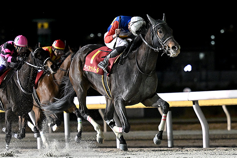 2023年 ライオットガール　競り合う2頭を直線差し切る