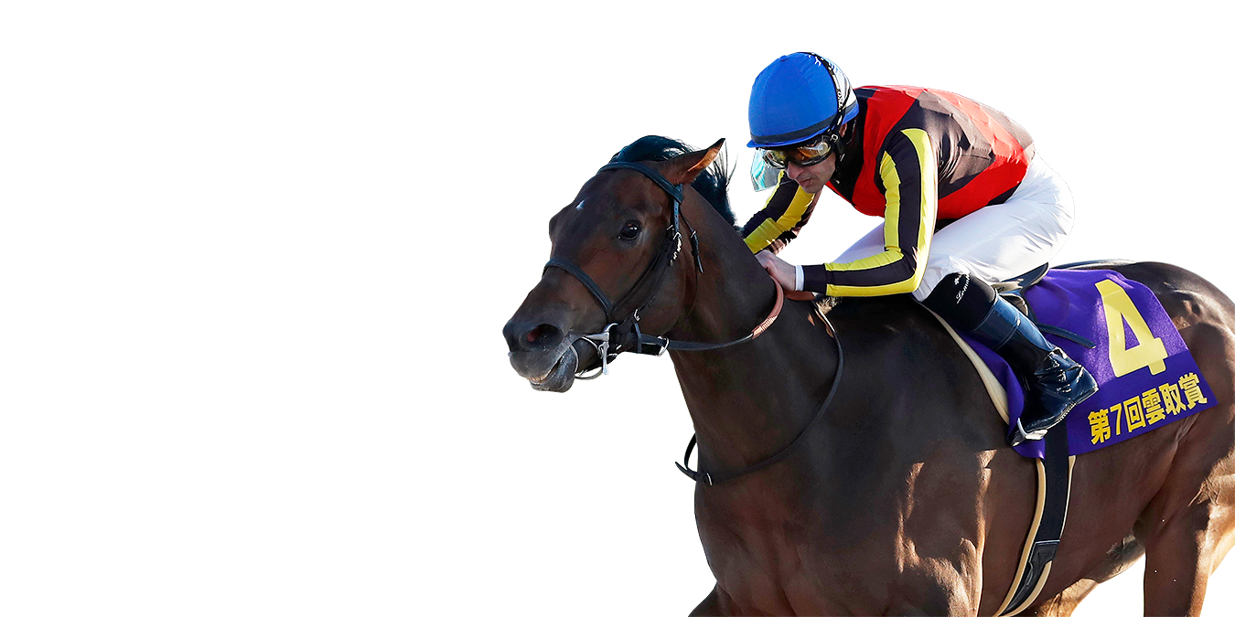 雲取賞 ゴール前