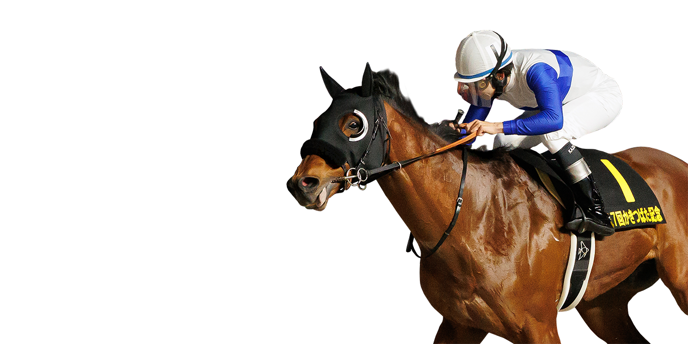 かきつばた記念 ゴール前