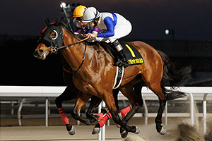 過去5年の競走成績 2025