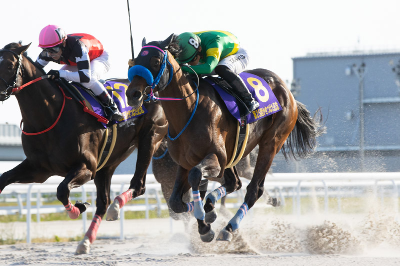 2023年 ウィルソンテソーロ　好タイムの一騎打ちを制す
