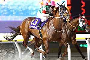 過去5年の競走成績 2025