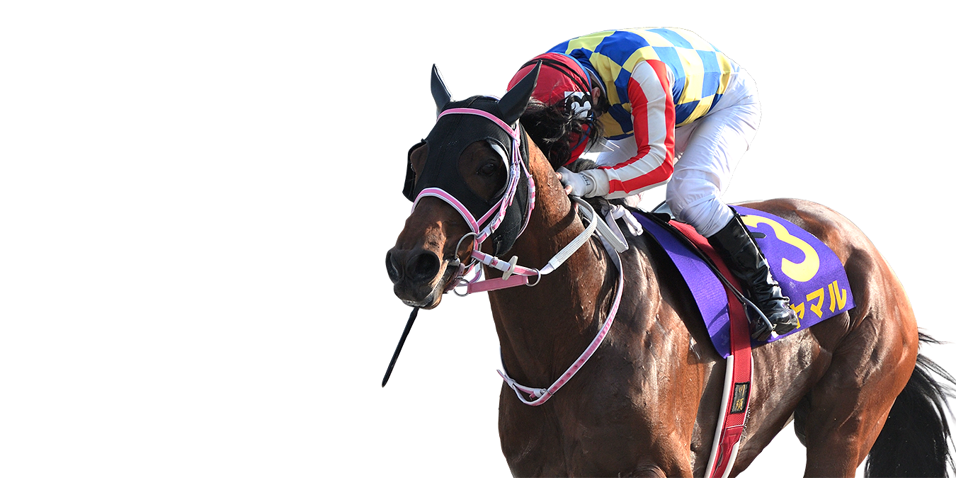 黒船賞 ゴール前