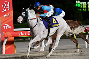 過去5年の競走成績 2024