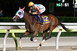 過去5年の競走成績 2025