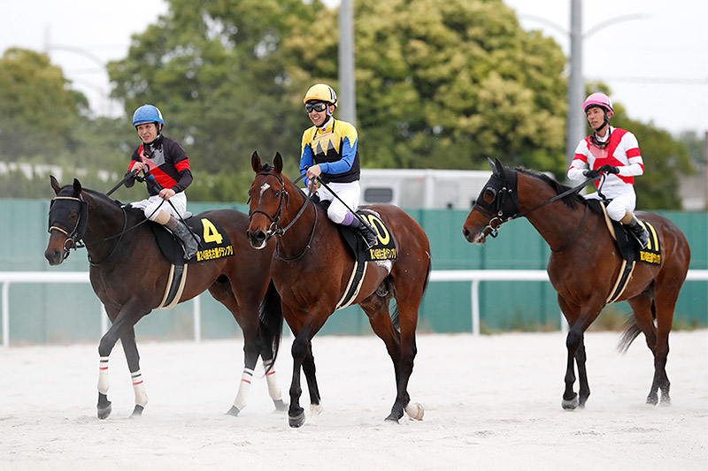 2024年 ノットゥルノ　レコードで圧巻の逃げ切り