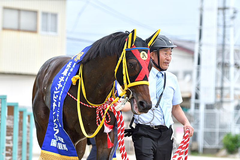 2024年 エートラックス　成長見せ3連勝でグレード制覇