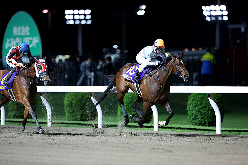 2024年 オーサムリザルト　無傷6連勝でニューヒロイン誕生