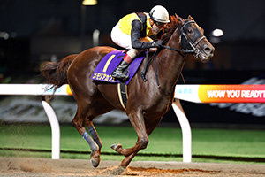 過去5年の競走成績 2025