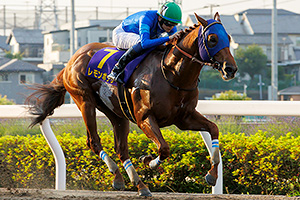 過去5年の競走成績 2024