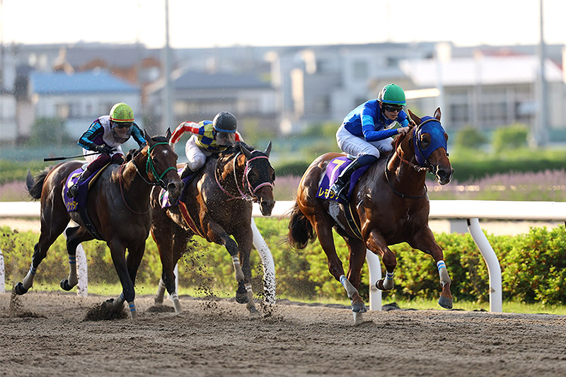 2024年 レモンポップ　早め先頭からねじ伏せる