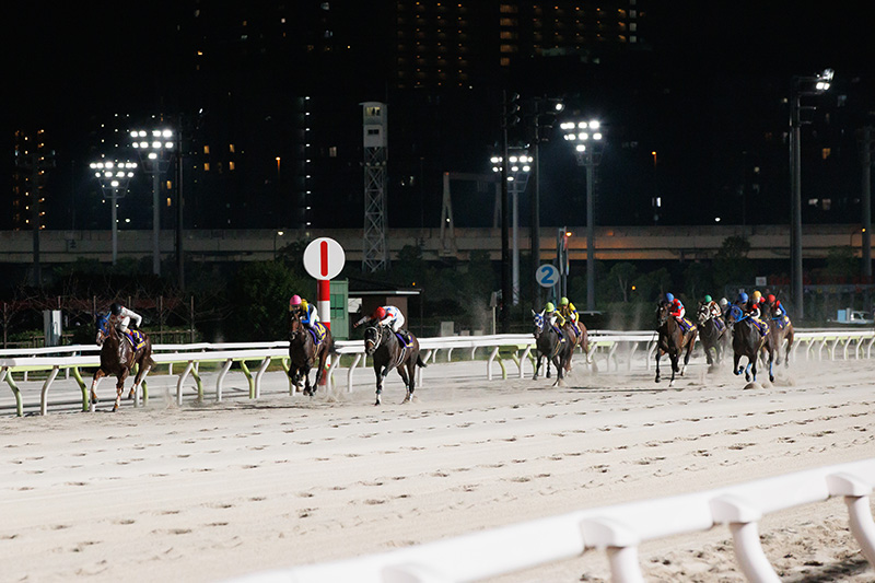 2025年 ミッキーファイト　人気に応えて、JpnI初制覇