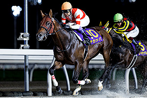 過去5年の競走成績 2024