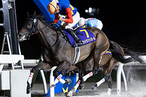 過去5年の競走成績 2025