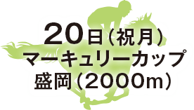 マーキュリーカップ（メイセイオペラ記念）