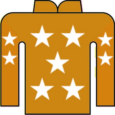 今井 貴大 写真