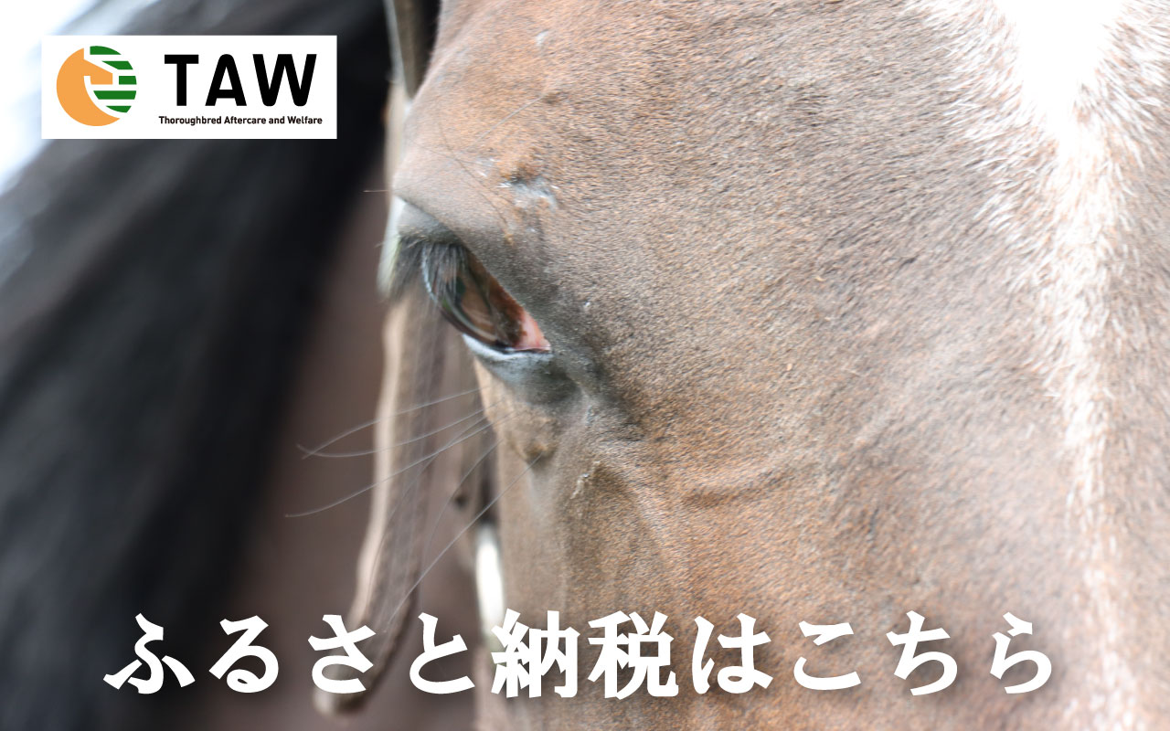 TAWふるさと納税