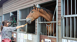 ふれあい動物園