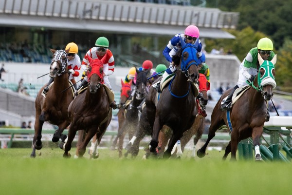 盛岡競馬場 写真2