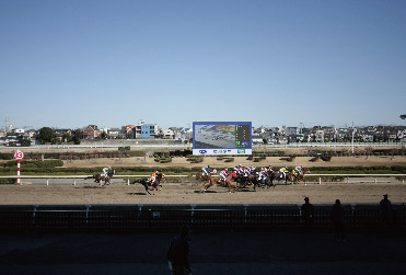 �Y�a���n��