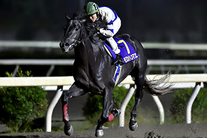 過去6年の競走成績 2017