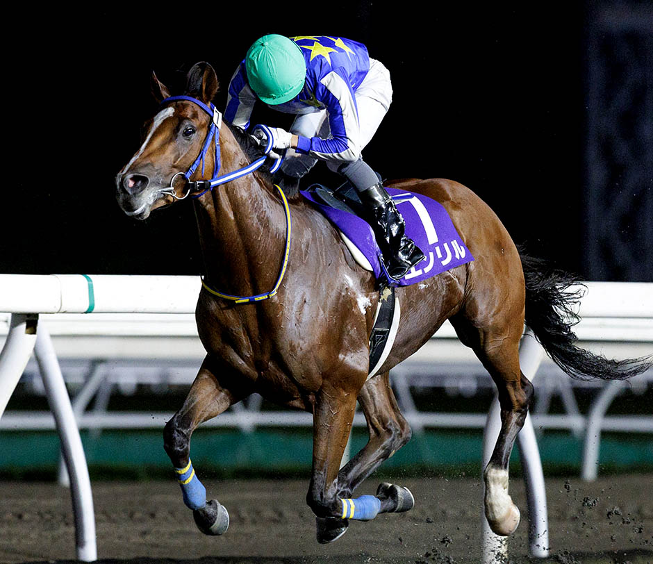 王冠賞 ゴール前