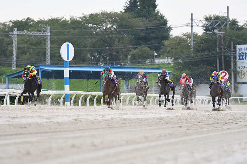 2019年 ニューホープ　好位から早め先頭で押し切る