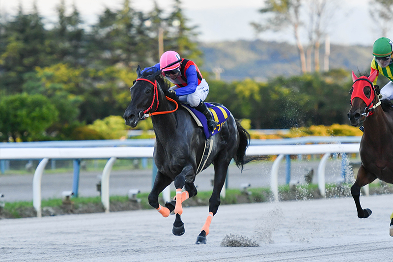 2022年 スターフジサン　強敵不在で人気にこたえる