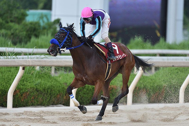 2020年 ステラモナーク　好スタート決め危なげない逃げ切り