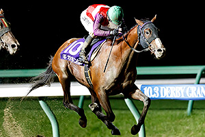 過去6年の競走成績 2021