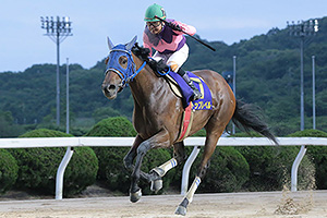 過去6年の競走成績 2020