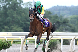 過去6年の競走成績 2018